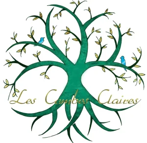 Logo créé pour LCC finish